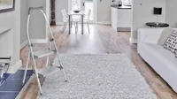 Hailo Klapptritt LivingStep Plus 2 Stufen - Höhe: 127 cm - Belastbarkeit: 150 kg - Produkttyp: Klappleiter - Anzahl Stufen: 2 ×