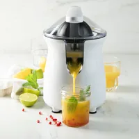 Domo DO9269J Electric tomato juicer 160 W White