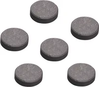 KNORR PRANDELL Magnete 20x3mm 3700102 6 Stück