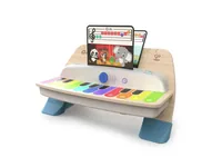 Hape E12422C learning toy