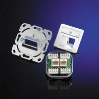 Telegärtner Dose AMJ45 UP/50 2 x RJ-45 Kat.6 Class E alpinweiss