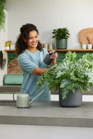 Elho Handsprüher B. for soft 0.6 l, Anthrazit - Gerätetyp: Feinsprüher - Fassungsvermögen: 0.6 l - Detailfarbe: Anthrazit