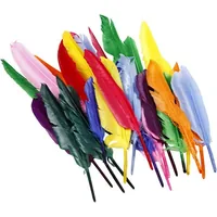 Creativ Company Federn 17 - 20 cm 250 Stück - Packungsgrösse: 250 Stück - Detailfarbe: Mehrfarbig