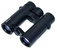 Braun Compagno          10x34 WP