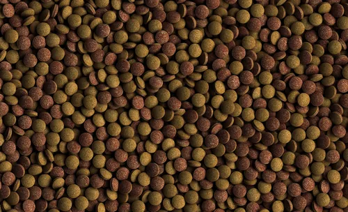 Tetra Basisfutter TabiMin, 2050 Tabs - Fischart: Bodenfische - Futterart: Tabs - Verwendung: Süsswasser - Packungsgrösse: 620 g - Produkttyp: Alleinfutter