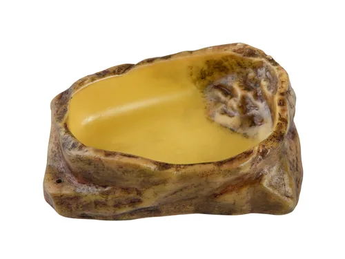 Exo Terra Wasserschale Medium, 13 x 11 x 3.5 cm - Produkttyp Terraristik: Wasserschale - Material: Harz - Grösse: M