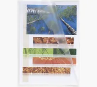 Exacompta Sichthülle A4, 100 Stück, Transparent - Typ: Sichthülle - Ausstattung: Blendfrei - Genarbt - Detailfarbe: Transparent - Material: Polypropylen (PP)
