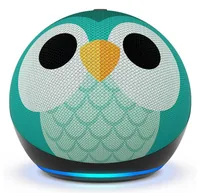 Amazon Echo Dot 5 Eulen Design