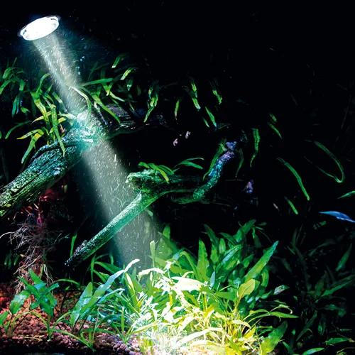 HOBBY Aquaristik Bubble Air Spot colour & moon LED AC Black