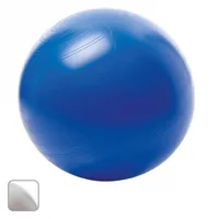TOGU 408660 exercise ball 65 cm Blue Full-size