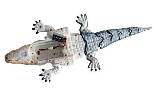 Amewi Croco das kleine Krokodil 370mm 4-Kanal RTR
