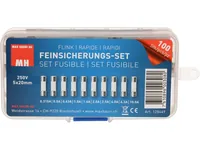 Max Hauri Schmelzsicherung Set 5 x 20 mm Flink, 100 Stück - Nennstrom: 0.5 A - 0.63 A - 4 A - 1.6 A - 2.5 A - 6.3 A - 2 A - 0.315 A - 1 A - 10 A - Typ: Feinsicherung - Bauart: Klar - Auslösecharakteristik: Flink (F)