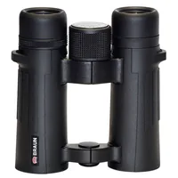 Braun Compagno           8x34 WP