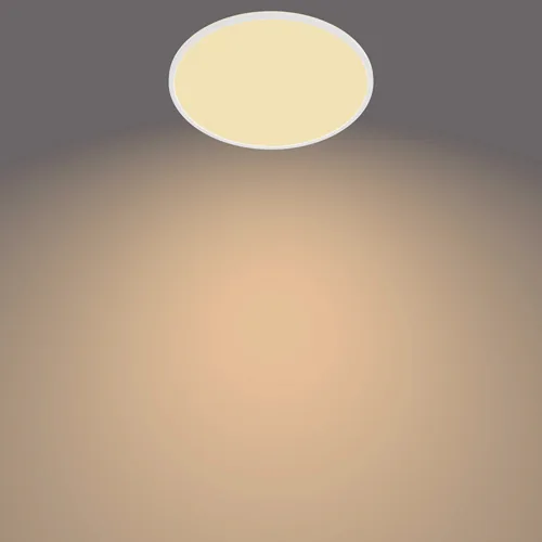 Philips by Signify Funzionale 8719514327146 illuminazione da soffitto LED