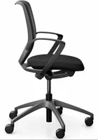 Giroflex Bürostuhl 313 mit Netzrücken und Armlehnen, Schwarz - Produkttyp: Bürostuhl - Material Bezug: Stoff - Armlehnen: Ja - Material Fuss: Kunststoff - Rückenart: Netzrücken - Rollenart: Hartbodenrollen
