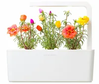 Click and Grow Saatgut Portulakröschen - Aussaatzeit: April - August - Dezember - Februar - Januar - Juli - Juni - Mai - März - November - Oktober - September - Blütezeit: April - August - Dezember - Februar - Januar - Juli - Juni - Mai - März - November 
