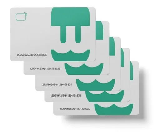 Wallbox RFID cards bundle 25