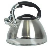 Kela 11655 kettle 3 L Stainless steel