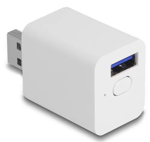 DELOCK WLAN EASY-USB Smart Life Schalter