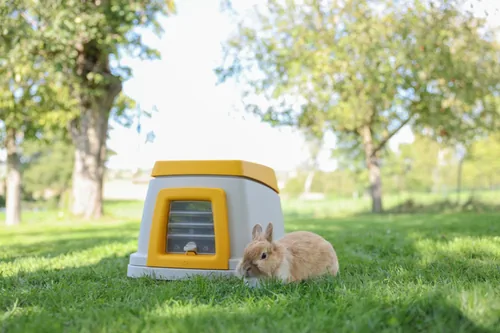 Kerbl Kaninchenheim Bunny Base ohne Erdteil - Nagetierart: Kaninchen - Tierart: Kaninchen