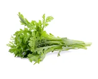 Click and Grow Samen Shungiku 3er-Pack - Bio: Nein - Aussaatzeit: Ganzjährig - Sonneneinstrahlung: Hell und warm - Gemüsegruppen: Kräuter - Saattyp: Saatgut - Erntezeit: Ganzjährig