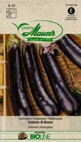 Samen Mauser 12496504 Eggplant 1 pc(s)