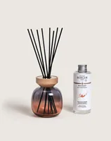 Maison Berger Duftstäbchen Bouquet Mineral – Pétillance Exquise 180 ml - Duft: Champagner - Grapefruit - Holz - Maiglöckchen - Moschus - Patchouli - Rose - Veilchen - Volumen: 180 ml