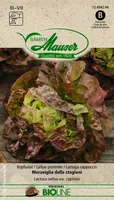 Samen Mauser 12458204 vegetable seed Salad 1 pc(s)