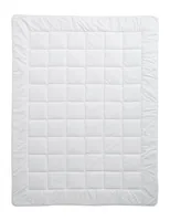 Billerbeck N1254-01 duvet 1 pc(s) 160 x 210 cm