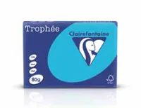 Clairefontaine Kopierpapier Trophée A4, 80 g/m², sand, 500 Blatt - Geeignet für Drucker: Universal - Grammatur: 80 g/m² - Papiertyp: Kopierpapier - Materialeigenschaften: Holzfrei - Verpackungseinheit: 500 Stück - Papierformat: A4