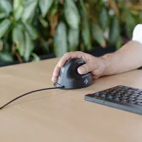R-Go Tools RGOHELA Maus Rechts USB Typ-A Optisch 2400 DPI