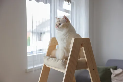 Kerbl Kratzbaum Ladder 97 cm x 39.5 cm x 134 cm - Höhe: 134 cm - Anzahl Liegeplätze: 3 × - Detailfarbe: Beige - Tierart: Katze - Produkttyp: Kletterleiter