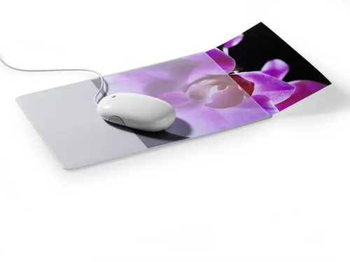 DURABLE Mouse Pad Plus mit Fotoeinschub grautransp