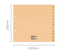 BIELLA Kartonregister A4 19441300U braun Dez-Jan DE/FR