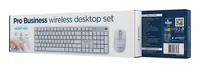 Gembird KBS-WMS-01-W-CYRL Silent key Pro Business wireless desktop set, white, RU layout