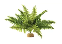 Exo Terra Regenwaldpflanze Boston Farn, M - Produkttyp Terraristik: Künstliche Pflanzen - Material: Kunststoff
