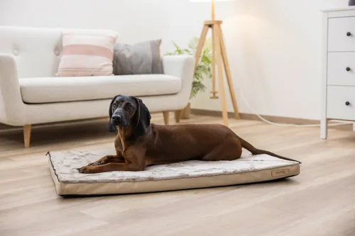 Kerbl Multifunktionsmatratze 72 x 50 x 5 cm - Produkttyp: Bett - Tierart: Hund - Detailfarbe: Braun - Breite: 72 cm - Länge: 50 cm