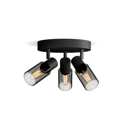 Philips Palms Ceiling/Wall Spotlight 3x