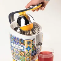 Ariete 413, Positano juicer, Electric juicer with lever, 2 cones for large and small fruits, Drip spout, Quiet motor, Professional juicing, Metal body