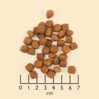 Wolfsblut Trockenfutter Dog Wild Duck Puppy, 2 kg - Tierbedürfnis: Kein besonderes Bedürfnis - Geschmacksrichtung: Geflügel - Zertifikate: Keine Zertifizierung - Fleischsorte: Ente - Packungsgrösse: 2 kg - Futtereigenschaft: Getreidefrei - Ohne künstliche