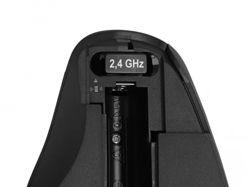 DELOCK Ergonomische USB Maus - kabellos