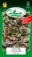 Samen Mauser 10476004 vegetable seed Salad 1 pc(s)