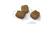 ROYAL CANIN CCN Mini Dental Care - dry food for adult dogs - 3kg