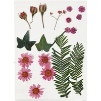 Creativ Company Streudeko Gepresste Blüten und Blätter, Rot, 19 sort. - Motiv: Blätter - Blume - Detailfarbe: Mehrfarbig - Material: Blume