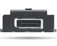 Lenovo DP Expansion Card Tiny 8 Punch Out Port 1 2