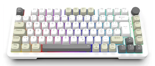 INCA Gaming Tastatur RGBGraySwitchUSB-CBT 2.00m weiß