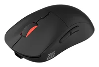 GENESIS Zircon XIII