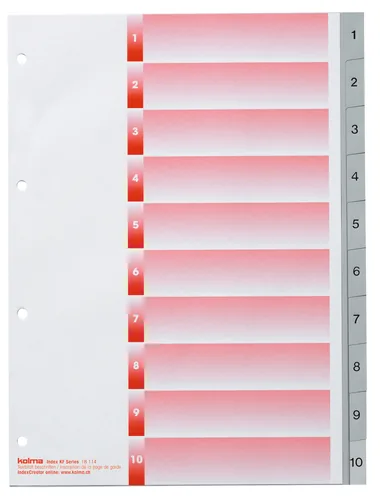 KOLMA Register KolmaFlex A4 18.114.03 grau 1-10