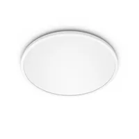 Philips Functional 8718699681012 ceiling lighting Non-changeable bulb(s) LED