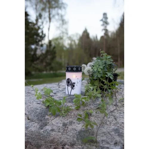 Star Trading LED Memorial Candle Dandelion